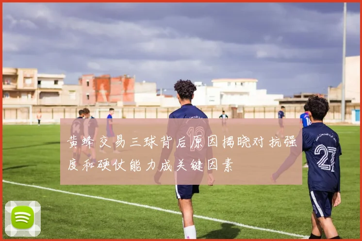 黄蜂交易三球背后原因揭晓对抗强度和硬仗能力成关键因素