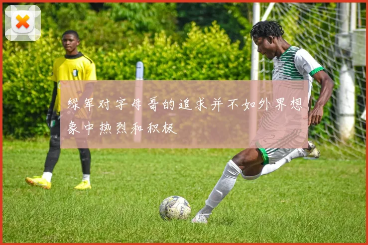 绿军对字母哥的追求并不如外界想象中热烈和积极